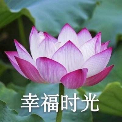 违停被贴不干胶 车主称方式太粗暴